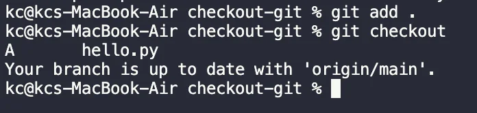 git add and checkout