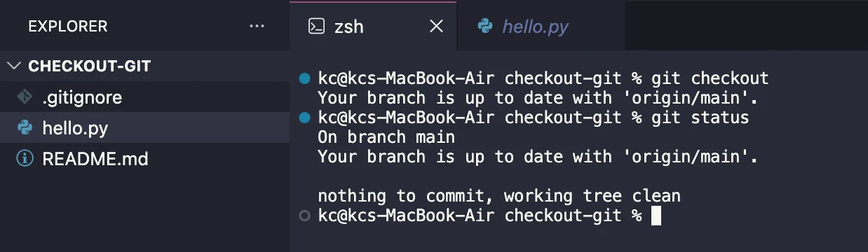 git checkout and git status