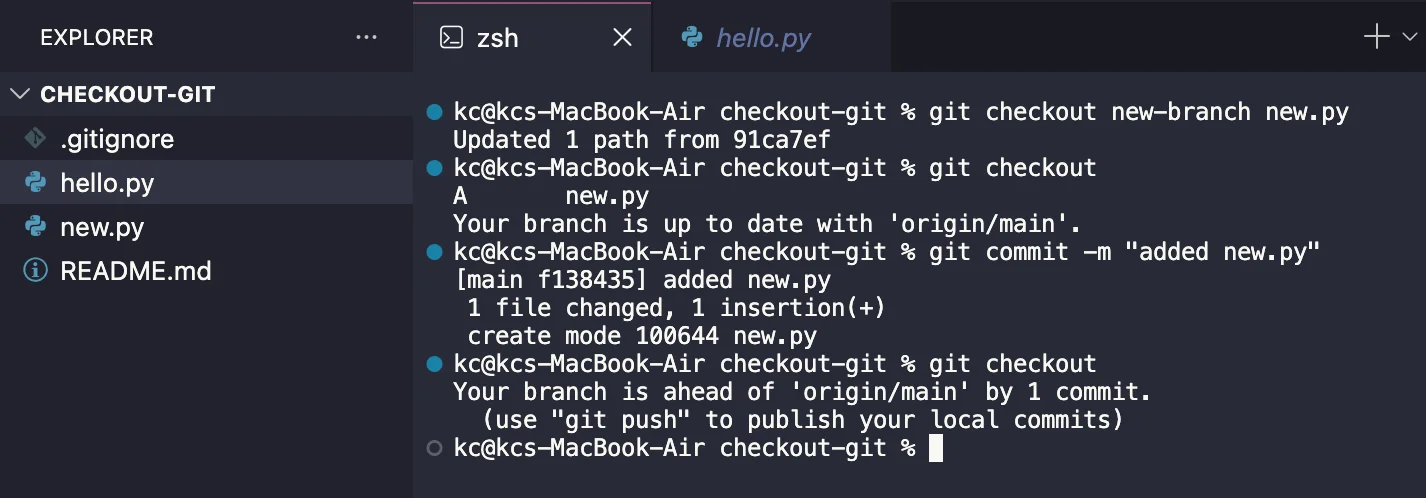 git checkout to add a new file
