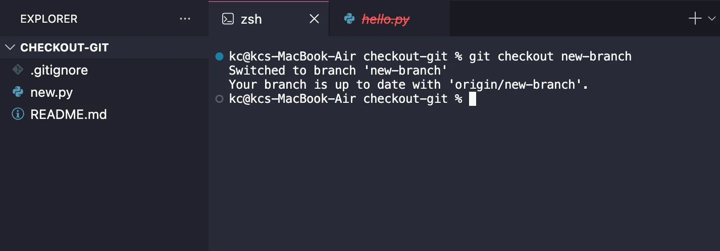 git checkout to delete a file